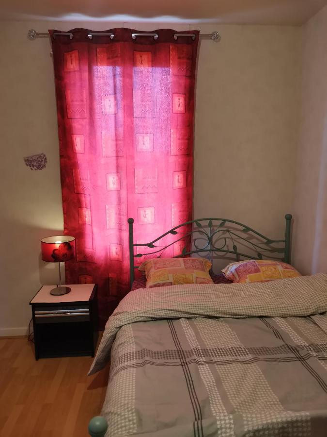Super Appartement Chez Mon General Clermont-Ferrand Ngoại thất bức ảnh